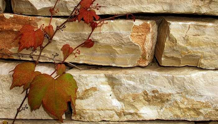 Aménagement extérieur maison par maçon pour construire en Vendée